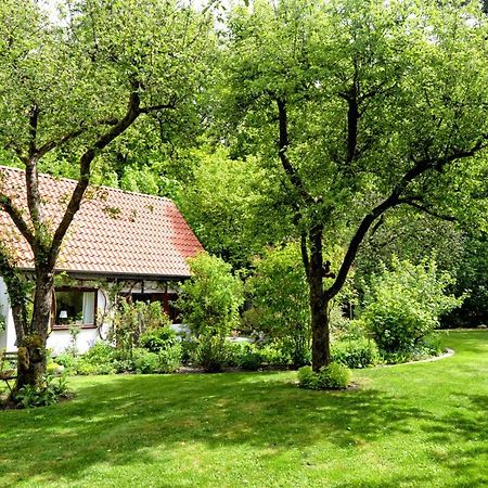 Kleines Haus Villa Ganderkesee Exteriör bild